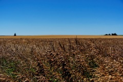 leselauf_usatour_2014_43