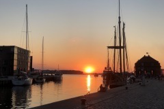 thumbs_RFR20212021-07-04_21-36-45