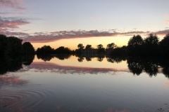 thumbs_RFR20212021-07-05_21-46-35