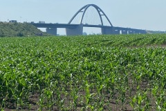 Fehmarnsundbrücke